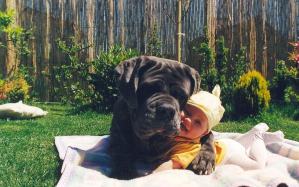 puppy